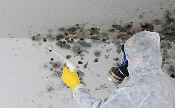 mould2